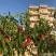 Apartmani Edem, privatni smeštaj u mestu Utjeha, Crna Gora - 96C4B65B-5942-4047-A97B-EC645A803B87